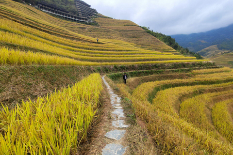 Tour Privado a Medida: Tour Privado de 2 días por las Terrazas de Arroz de Longji