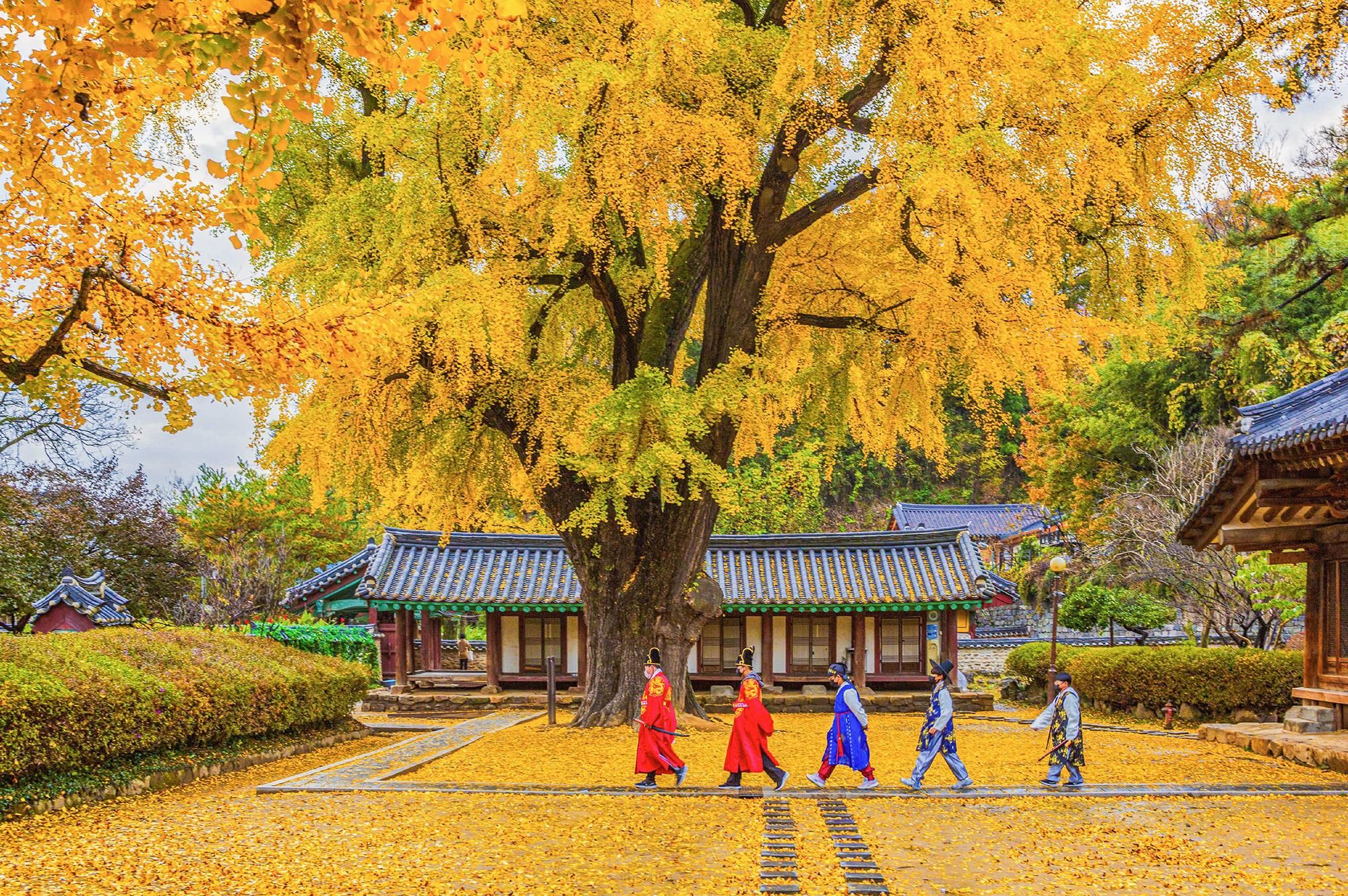 Von Seoul: Tagestour zum Hanok-Dorf Jeonju