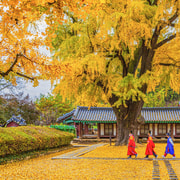 From Seoul: Jeonju Hanok Village Full-Day Tour