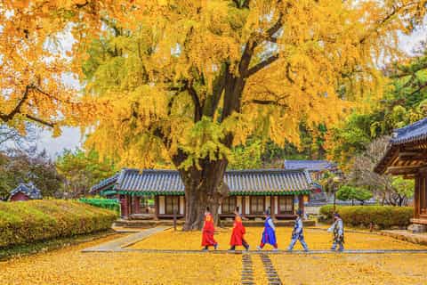 From Seoul: Jeonju Hanok Village Full-Day Tour - Image 3