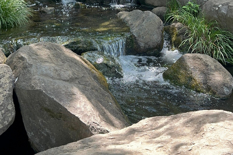 Nishikasai (East Tokyo) Japanese garden and Ramen tour