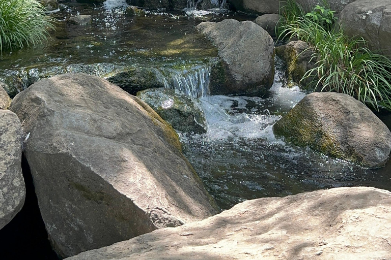 Nishikasai (East Tokyo) Japanese garden and Ramen tour