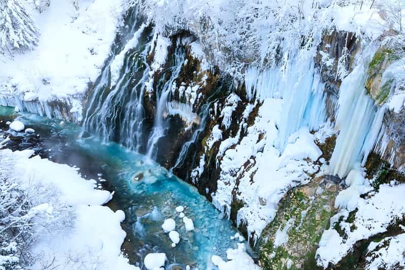 Asahiyama Adventure: Zoo+Waterfalls & Blue Pond Day Tour