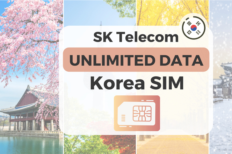 Aéroport d&#039;Incheon : Korea SIM avec SKT 4G Données illimitéesSIM de 15 jours