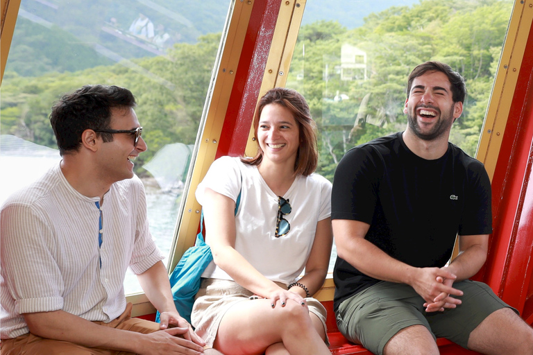 De Tóquio: Cruzeiro em Hakone e viagem de 1 dia à 5ª estação do Monte Fuji