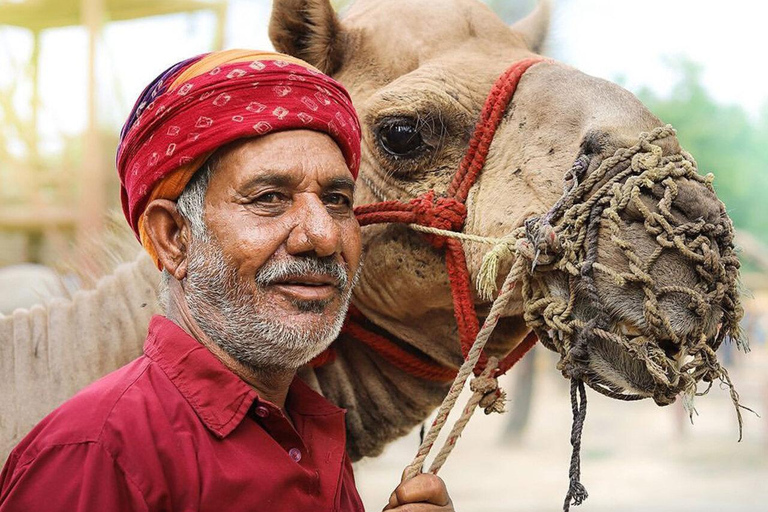 Jantar na aldeia de Jaipur Chokhi Dhani com transferes com guia