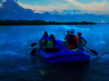 Merritt Island: tour in gommone con pagaia bioluminescente
