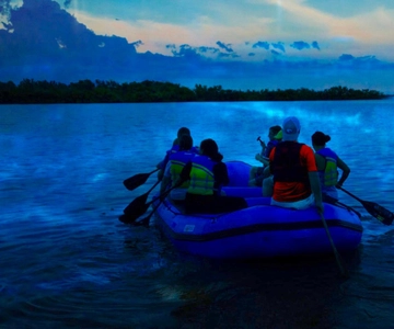 Merritt Island: Bioluminescent Paddle Raft Tour