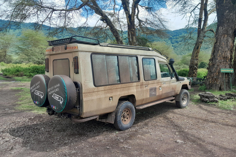 Arusha: Coffee tour, Mangalia water falls & Tarangire NP