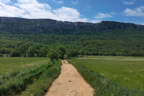 Secret Provence on Mary Magdalene’s Path