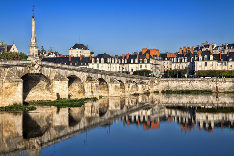 Loire Valley Château of Blois & Wine Tasting Experience