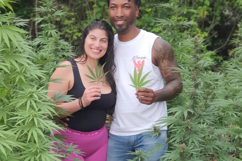 Best In The West Herbal & Farming Tour In Westoreland