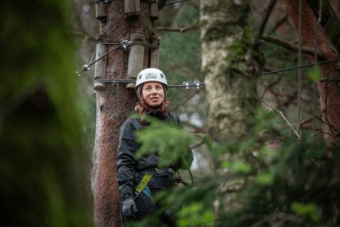 Gothenburg: High Ropes Adventure