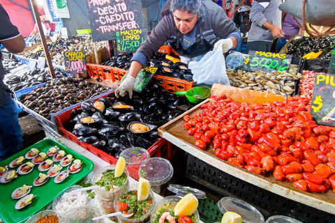 Santiago: Private Transfer To San Antonio via Valparaiso