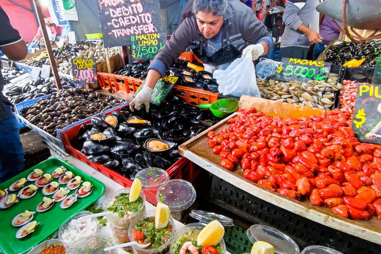 Santiago: Private Transfer To San Antonio via Valparaiso