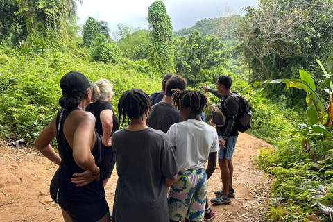 Fajardo : Aventure guidée dans la forêt El Yunque