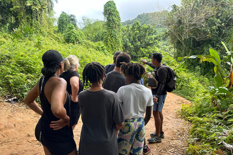 Fajardo : Aventure guidée dans la forêt El Yunque