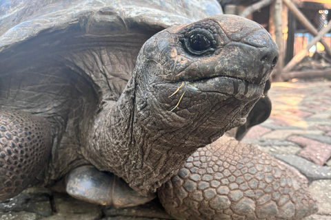 Tour delle Spezie+Visita alla ScuolaLocal+IsoladellaPrigione