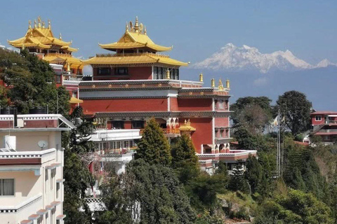 Desde Katmandú : Excursión al Monasterio de Namobuddha con interacción de monjes