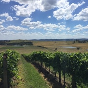 Melbourne: Yarra Valley Winery Private Tour with Lunch