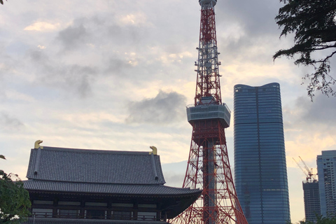 Passeios em Tóquio em espanhol (Mercado Tsukiji-Ginza-Torre de Tóquio)