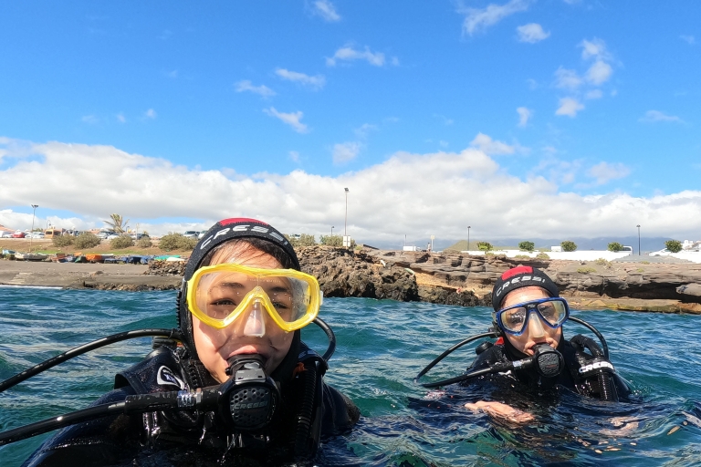 Discover scuba diving in Tenerife! The best experience!