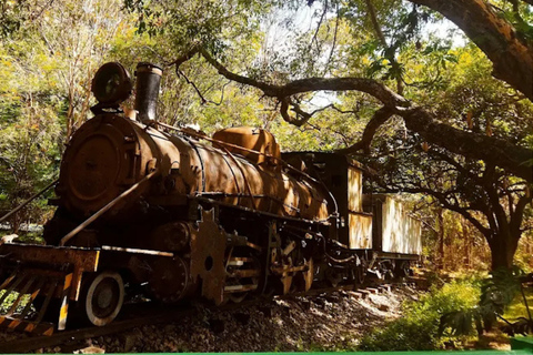 بنغالور: جولة إرشادية في نافورة أنديرا غاندي الموسيقيةBangalore: Indira Gandhi Musical Fountain Guided Tour