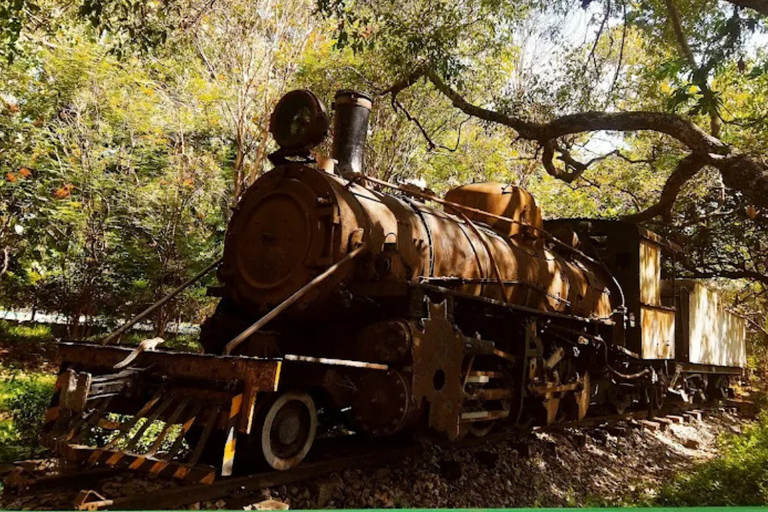 بنغالور: جولة إرشادية في نافورة أنديرا غاندي الموسيقيةBangalore: Indira Gandhi Musical Fountain Guided Tour