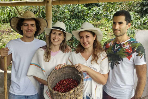 FROM BOGOTA: Coffee Tour in Choachí, An Authentic and Aromatic Adventure.