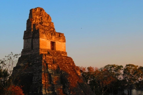 Antigua, Guatemala : Aventure dans les ruines mayas de TikalJournée entière