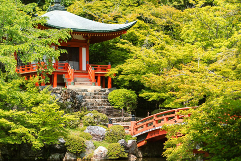 Tour privato di Kyoto, Nara e Osaka con autista parlante ingleseTour privato di Kyoto, Nara e Osaka con autista in inglese