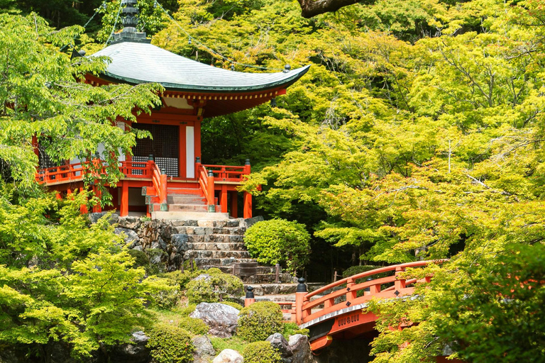 Kyoto Nara &amp; Osaka privétour met Engelssprekende chauffeur