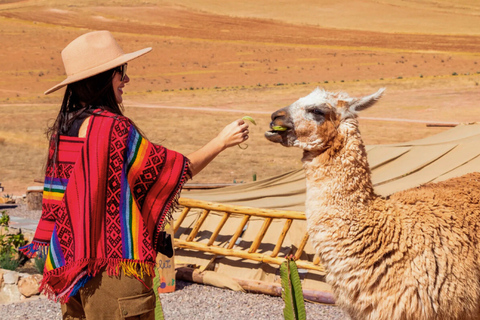 Cusco: Sacred Valley Tour with Picnic and Llamas