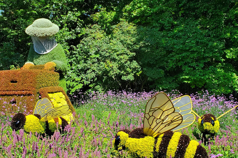 Montreal Botanical Garden & Insectarium Private Guided Tour 3-hour: Montreal Botanical Garden Tour & Transport