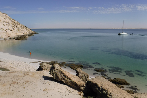 Dakhla: Catamaran Sailing Adventure with Island Visit