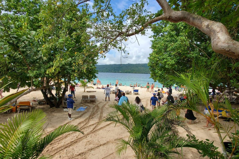 Puerto Plata: Samana, Bacardi Island, and Los Haitises Tour