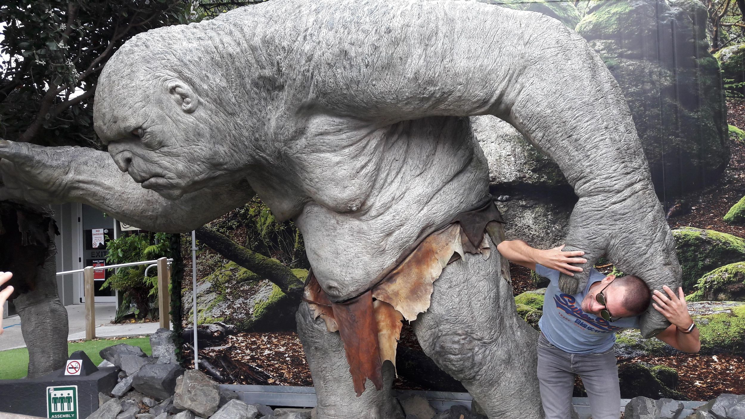 Wellington: Halbtagestour zu den Schauplätzen von Herr der Ringe