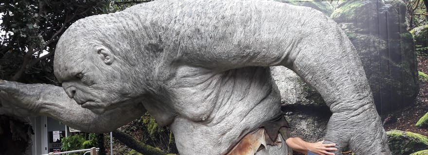 Wellington : Visite d'une demi-journée des sites du Seigneur des Anneaux