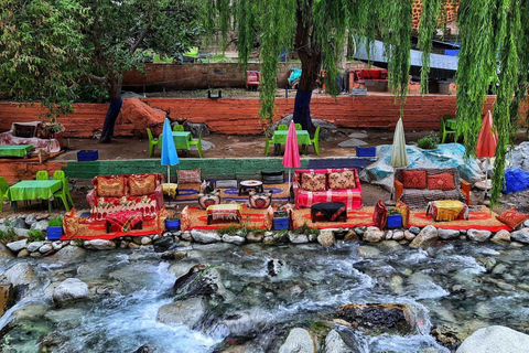 Marrakech: Excursión de un día al Valle de Ourika y la Cascada de Setti Fatma