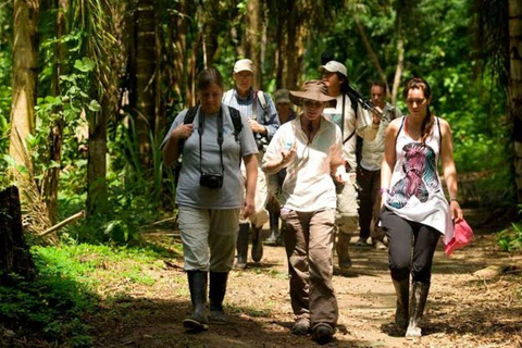 Manu: 8-Day Amazon Wildlife & Jungle Expedition