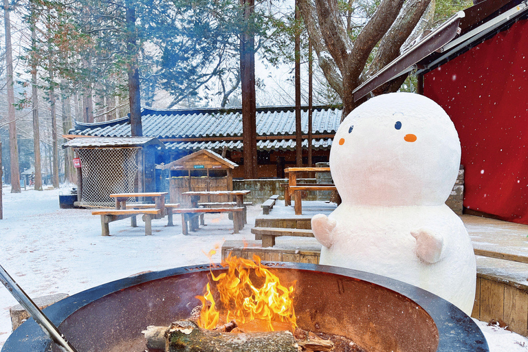 Seoul: Strawberry & Eobi Ice Valley & Nami + Optional Spots Strawberry & Eobi & Nami & Morning Calm Garden Light Festa