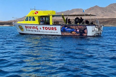 Fuerteventura: First-Time Boat Diving Experience - Introduction to Diving