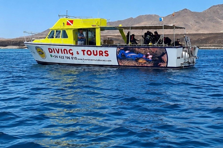 Fuerteventura: First-Time Boat Diving Experience - Introduction to Diving