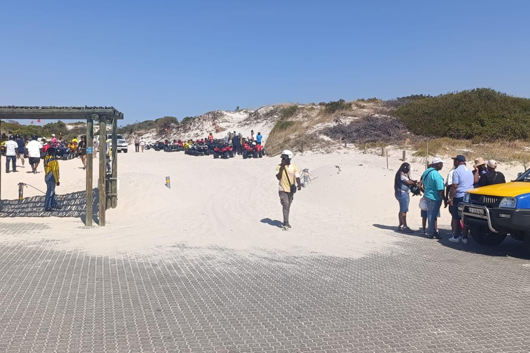 Cape Town: Quad Biking and Ziplining Adventure Tour Cape Town: Quad Biking and Ziplining Adventure Tour