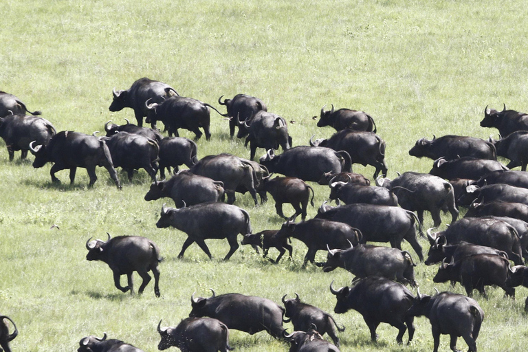 From Kigali: Akagera National Park 2-Day Safari Tour