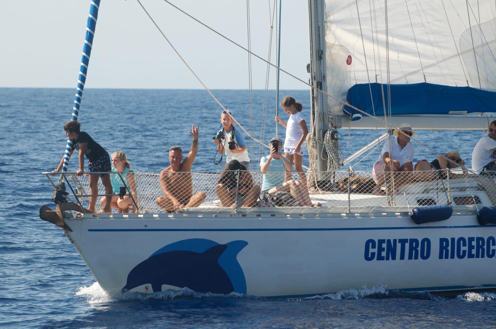 Insel Elba: Wochenend-Ausflug mit Delfinen auf einem privaten Boot