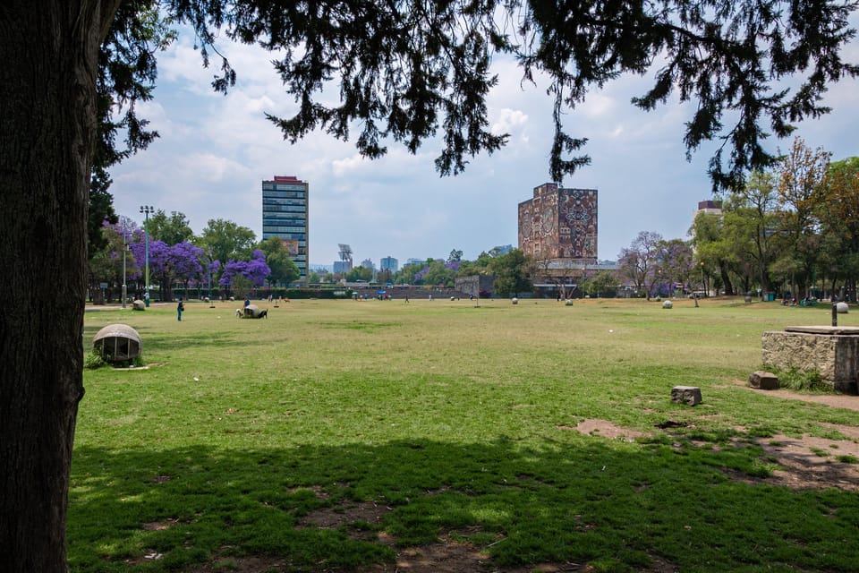 Recorrido Por La Ciudad Universitaria De M Xico Getyourguide