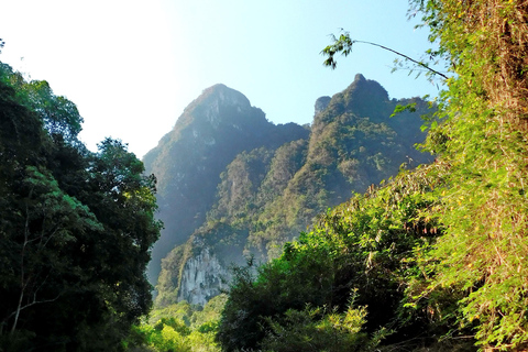 Khao Sok Jungle Day Trip - Jungle Trekking & Bamboo Rafting