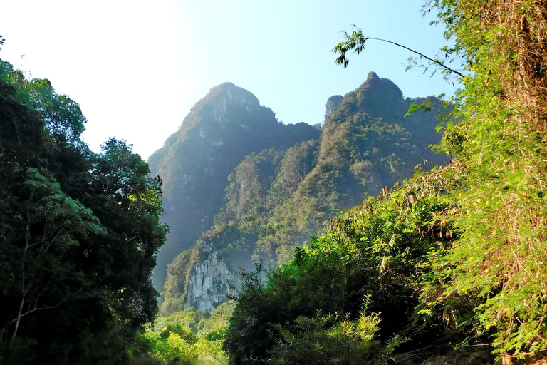 Khao Sok Jungle Day Trip - Jungle Trekking & Bamboo Rafting