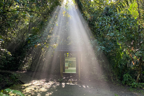 Manuel Antonio Park: Guidad vandring med en naturforskarePrivat rundtur